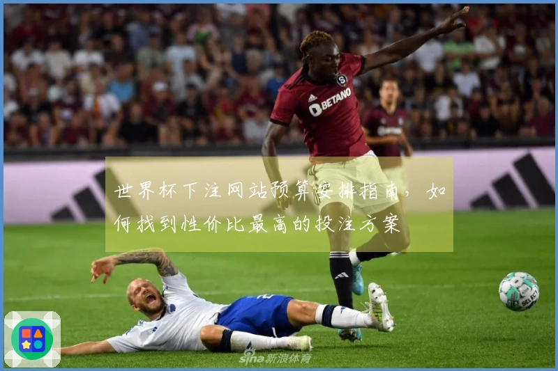 世界杯下注网站预算安排指南，如何找到性价比最高的投注方案