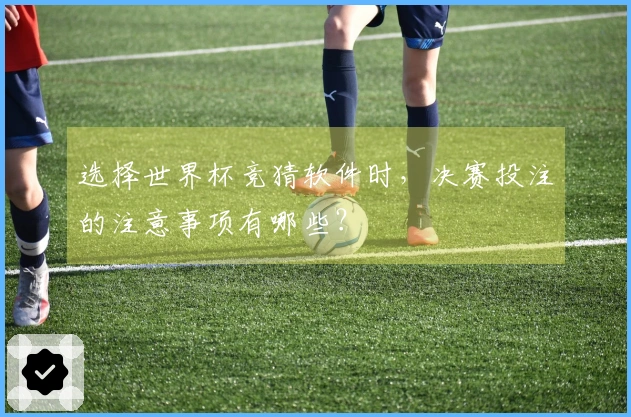 选择世界杯竞猜软件时，决赛投注的注意事项有哪些？