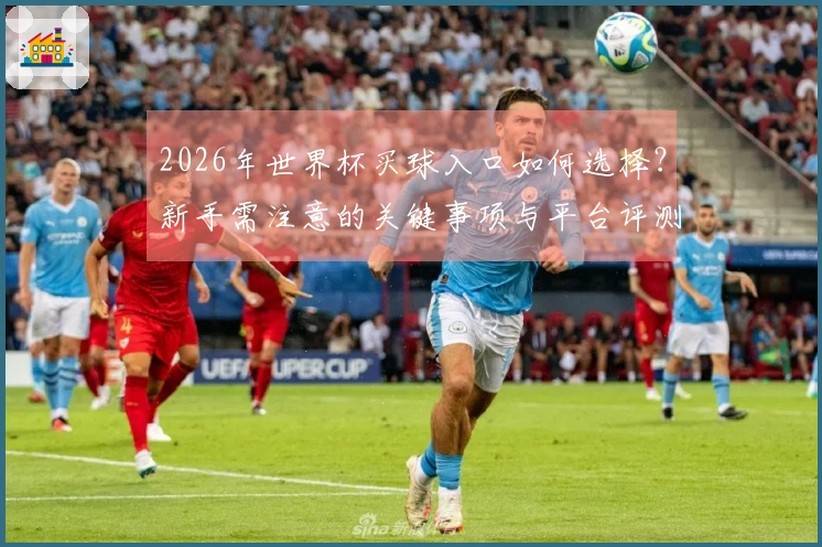 2026年世界杯买球入口如何选择？新手需注意的关键事项与平台评测