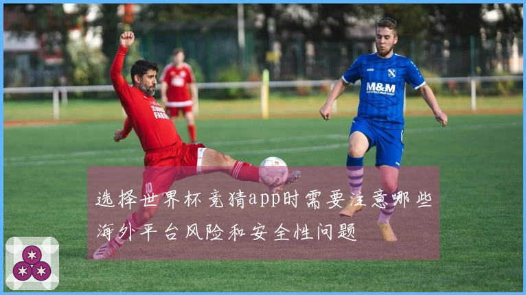 选择世界杯竞猜app时需要注意哪些海外平台风险和安全性问题