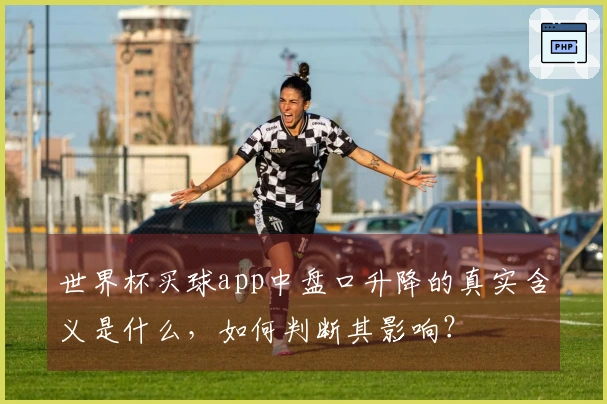 世界杯买球app中盘口升降的真实含义是什么，如何判断其影响？