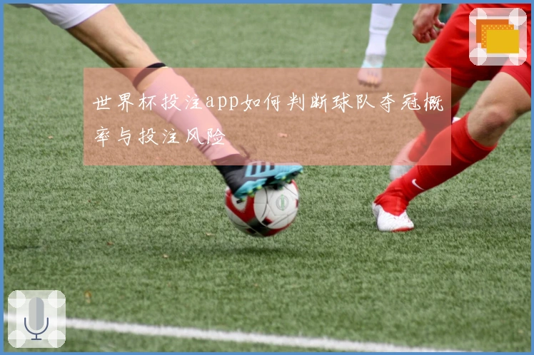 世界杯投注app如何判断球队夺冠概率与投注风险
