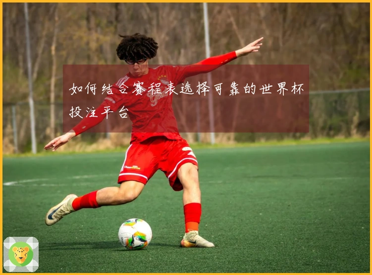 如何结合赛程表选择可靠的世界杯投注平台