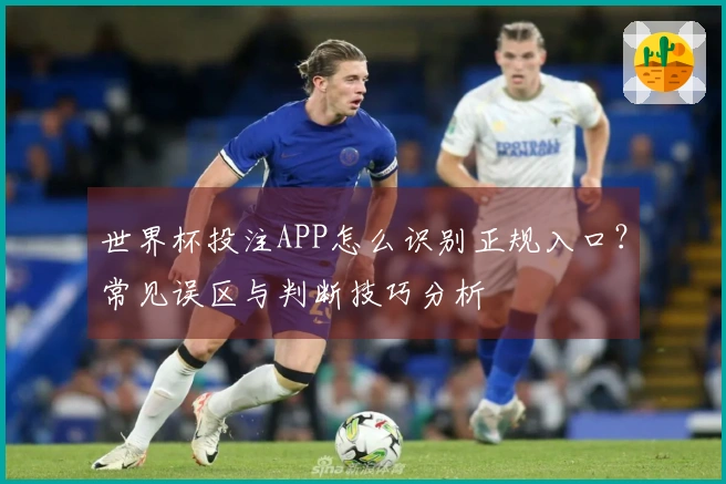 世界杯投注APP怎么识别正规入口？常见误区与判断技巧分析
