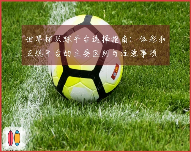 世界杯买球平台选择指南：体彩和正规平台的主要区别与注意事项