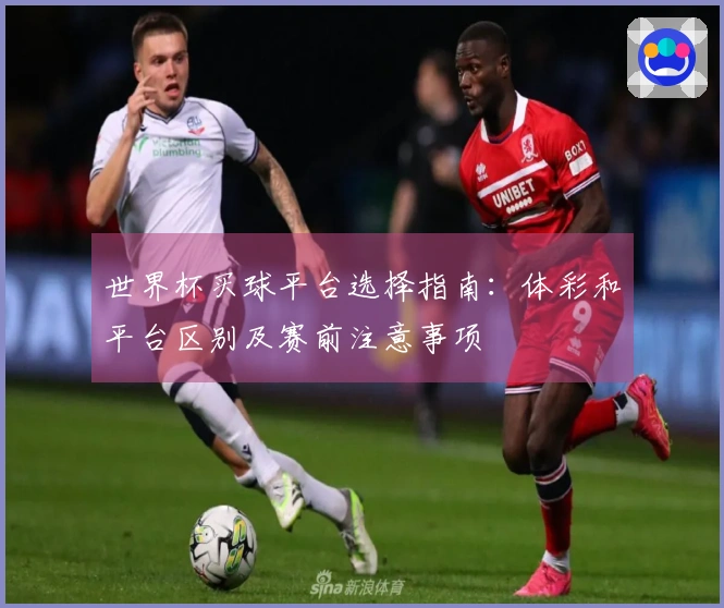 世界杯买球平台选择指南：体彩和平台区别及赛前注意事项