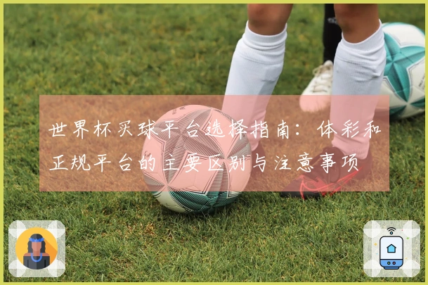 世界杯买球平台选择指南：体彩和正规平台的主要区别与注意事项