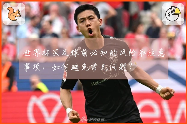 世界杯买足球前必知的风险和注意事项，如何避免常见问题？