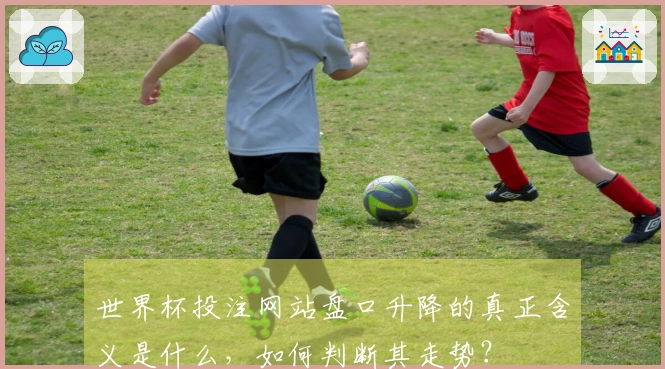 世界杯投注网站盘口升降的真正含义是什么，如何判断其走势？