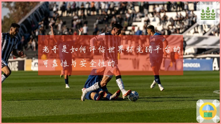 老手是如何评估世界杯竞猜平台的可靠性与安全性的
