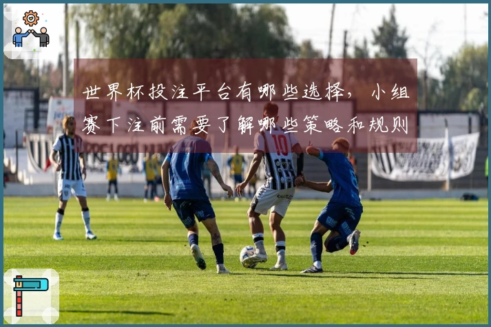 世界杯投注平台有哪些选择，小组赛下注前需要了解哪些策略和规则？