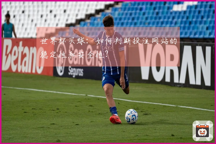 世界杯买球：如何判断投注网站的稳定性和安全性？