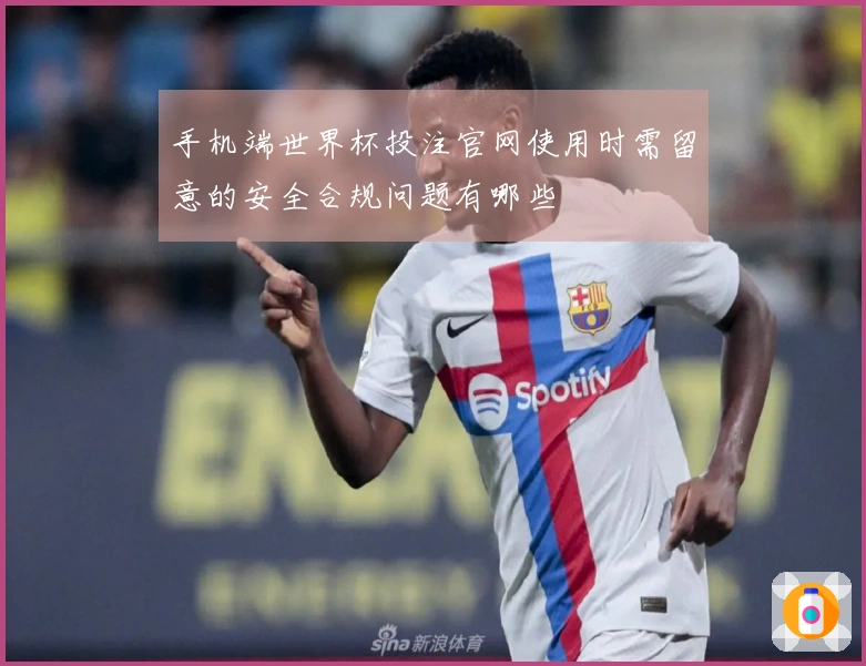 手机端世界杯投注官网使用时需留意的安全合规问题有哪些