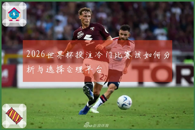 2026世界杯投注冷门比赛该如何分析与选择合理平台