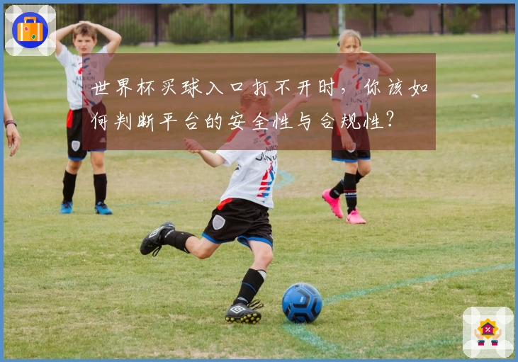 世界杯买球入口打不开时，你该如何判断平台的安全性与合规性？