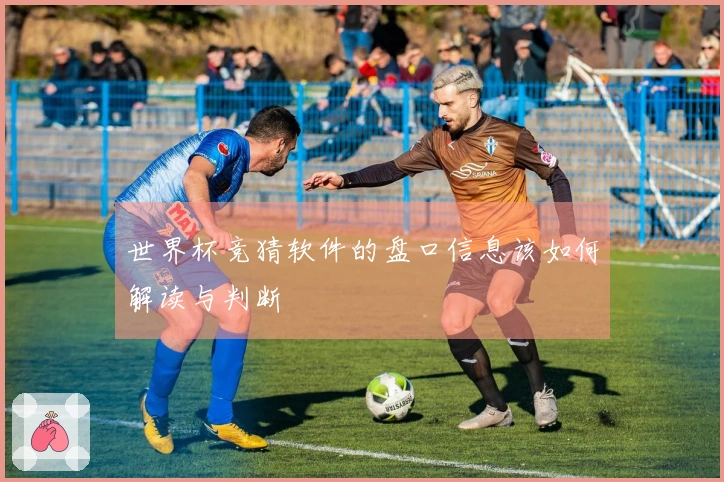 世界杯竞猜软件的盘口信息该如何解读与判断