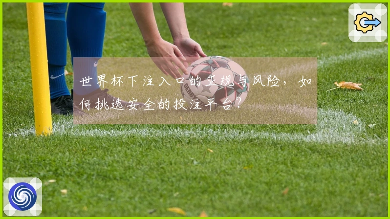世界杯下注入口的正规与风险,如何挑选安全的投注平台?