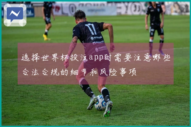 选择世界杯投注app时需要注意哪些合法合规的细节和风险事项