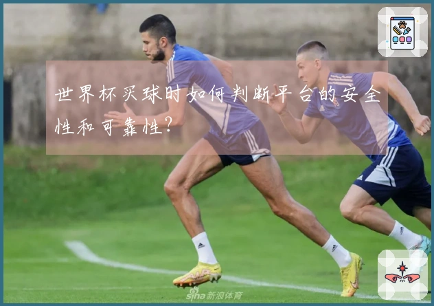 世界杯买球时如何判断平台的安全性和可靠性？