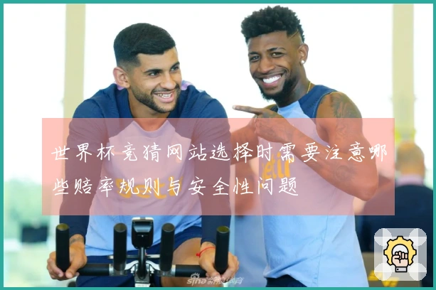 世界杯竞猜网站选择时需要注意哪些赔率规则与安全性问题