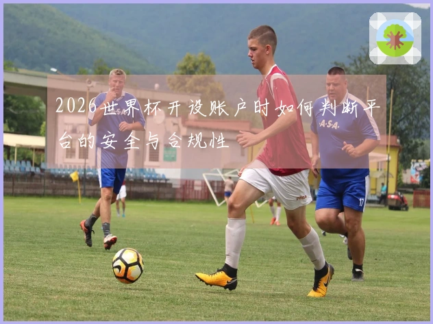 2026世界杯开设账户时如何判断平台的安全与合规性