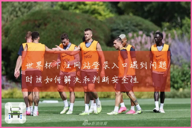 世界杯下注网站登录入口遇到问题时该如何解决和判断安全性