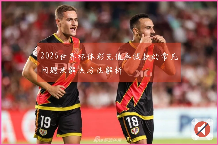 2026世界杯体彩充值和提款的常见问题及解决方法解析