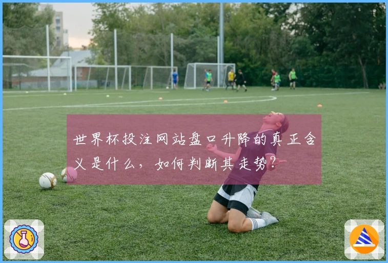 世界杯投注网站盘口升降的真正含义是什么，如何判断其走势？