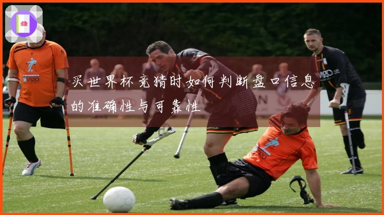 买世界杯竞猜时如何判断盘口信息的准确性与可靠性