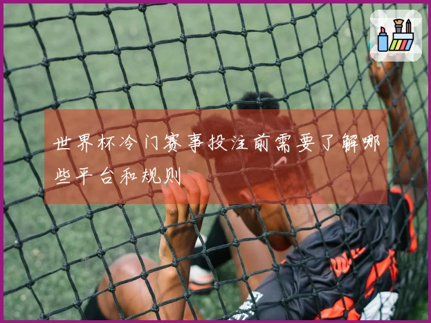 世界杯冷门赛事投注前需要了解哪些平台和规则